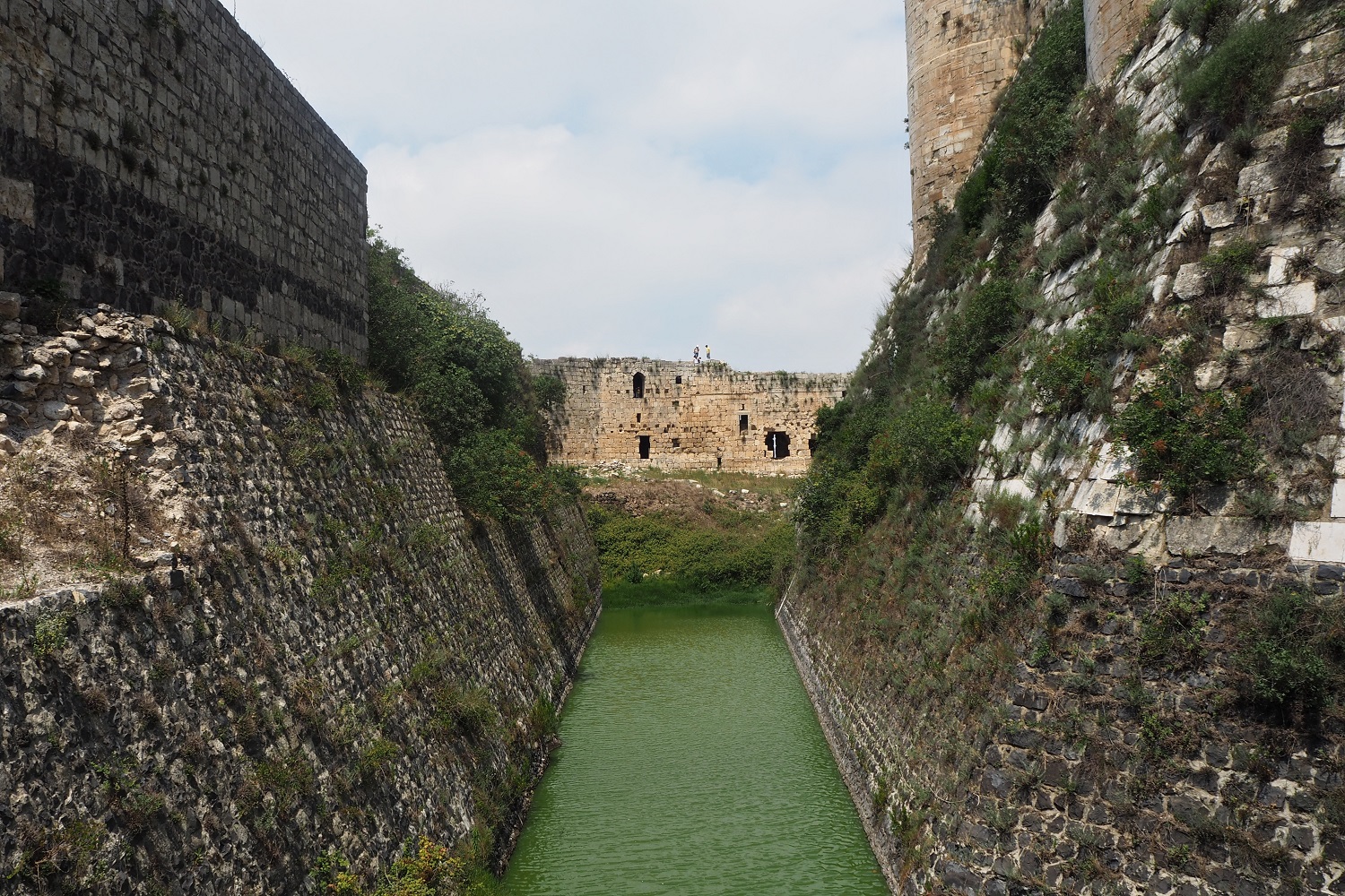 A view of the original medieval moat, which is populated by a community of water snakes (Tom Westcott/MEE)