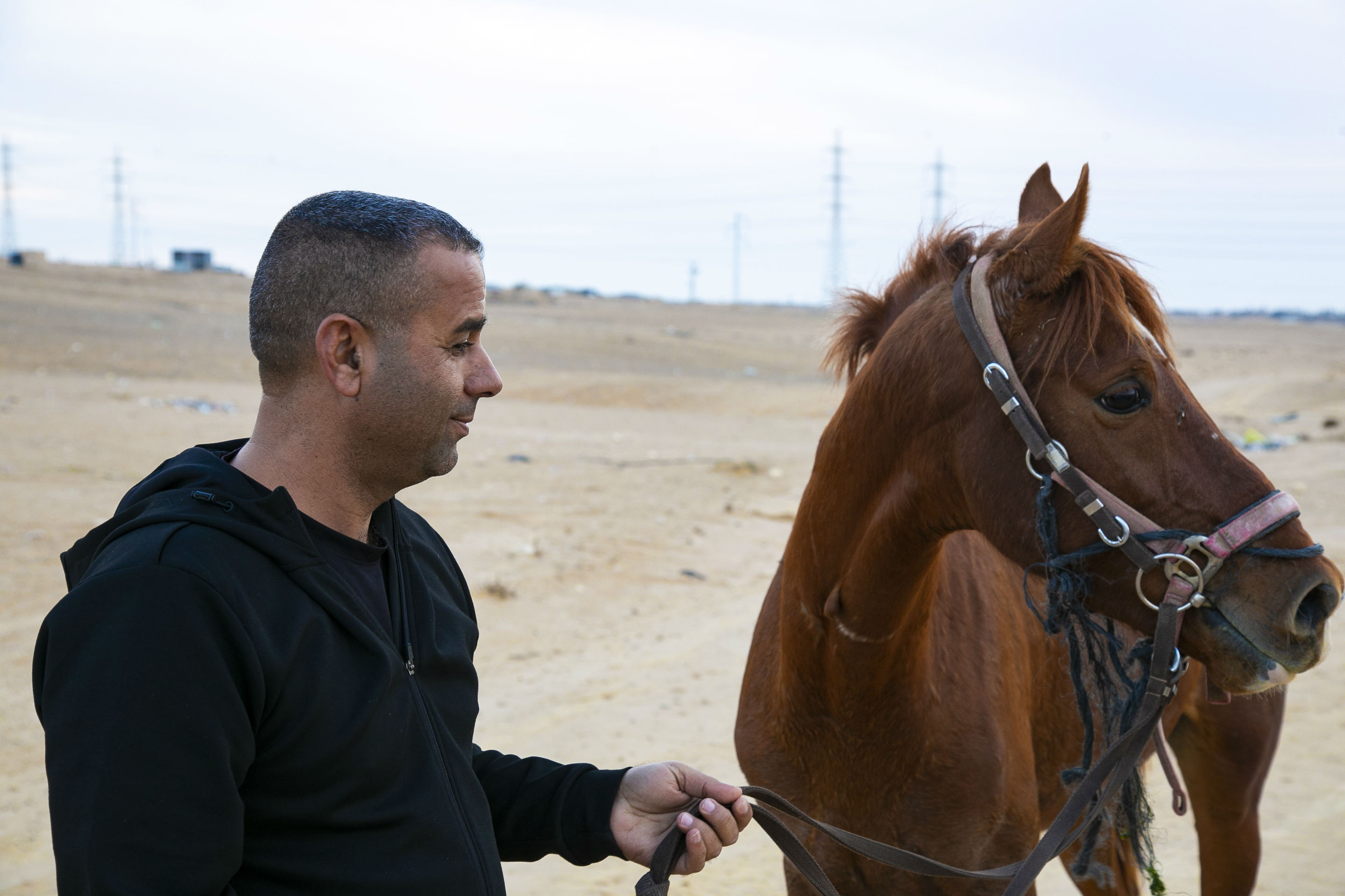 Mohammad Danfiri with a horse (MEE/Jack Dodson)