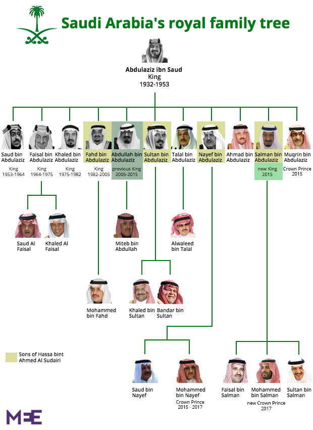 Saudi_Tree_updated.png