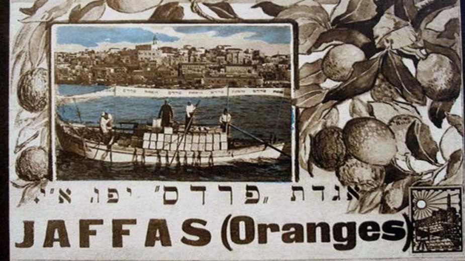 Les oranges de Jaffa étaient un symbole de l’agriculture palestinienne avant la Nakba (Alma Films)